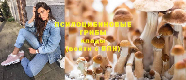 таблы Арсеньев
